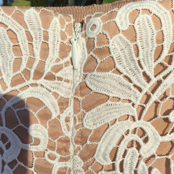 White House Black Market Cream Lace With Nude Lining Pencil Skirt - Picture 6 of 12